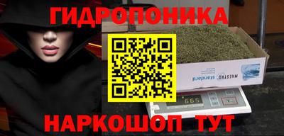 ешки Пенза