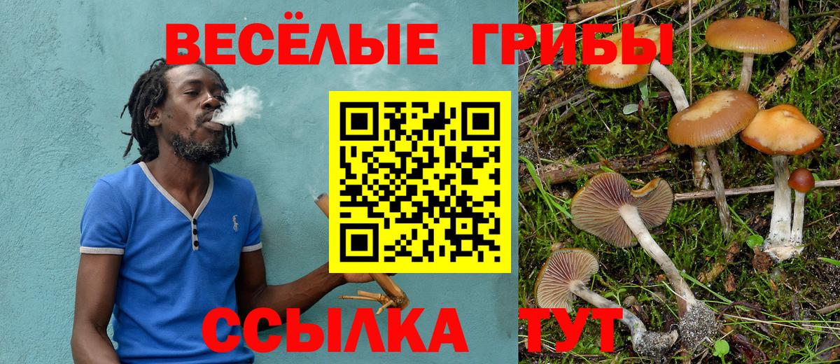 Псилоцибиновые грибы Psilocybe  Вход с VPN  Галлюциногенные грибы прущие грибы  Минусинск 