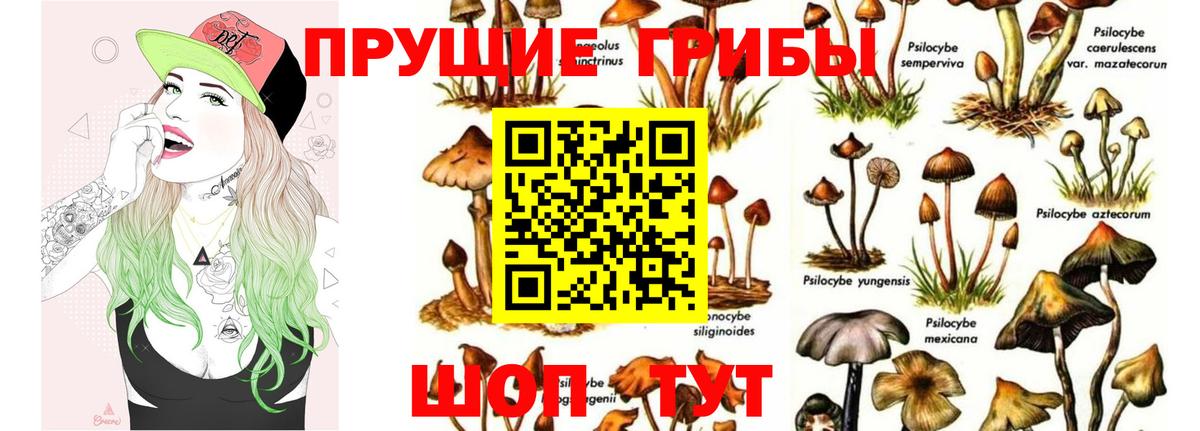 Псилоцибиновые грибы Magic Shrooms Минусинск